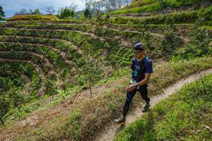 BIB: 
                            <button type="button" onclick="openModal(21854694)" class="btn btn-primary btn-sm float-right btn-popup" data-toggle="modal" data-target=".modal-high-quality">
                        <i class="fas fa-shopping-cart"></i> Add to Cart
                    </button>
                                            <button type="button" onclick="isThisMe(21854694, true)" class="btn btn-success btn-sm float-right btn-popup btn-isme hidden" data-toggle="tooltip" data-placement="bottom" title="นี่คือรูปของคุณใช่ไหม คลิกที่นี่เพื่อเอาเข้าอัลบั้ม">
                        <i class="fas fa-plus"></i> Add to album
                    </button>
                    <button type="button" onclick="isThisMe(21854694, false)" class="btn btn-warning btn-sm float-right btn-popup btn-isnotme hidden">
                        <i class="fas fa-ban"></i> Remove from album
                    </button>